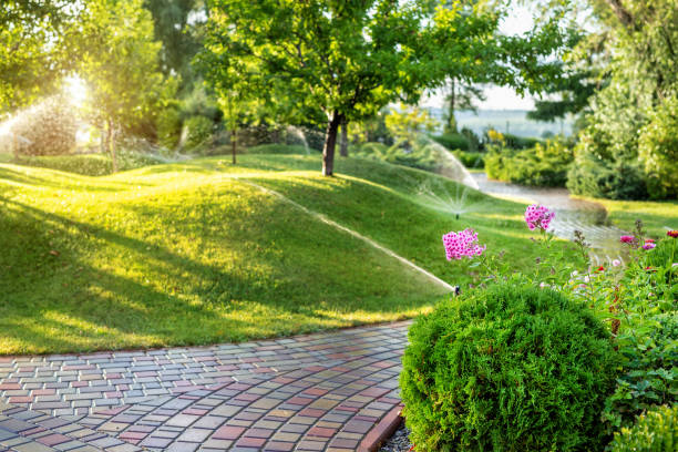 How Can Landscaping Increase Your Property Value?