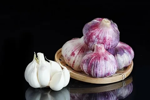 Purple Garlic